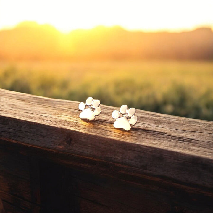 Stainless Steel Paw Earrings Hypoallergenic